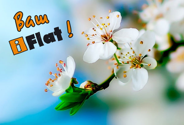 интернет провайдер IFlat